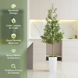 Top 10 Best Indoor Trees for Your Home 4 ProDeco Artificial Olive Tree 6ft
