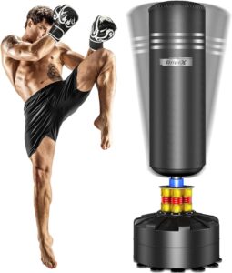 10 Best Heavy Bags for Ultimate Home Workouts 6 Dripex Freestanding Punching Bag