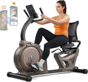 Top 10 Best Stationary Bike for Seniors 1 Niceday Recumbent Exercise Bike, Recumbent Bike for Home