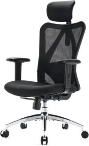 Top 10 Best Chair for Lower Back Pain at Home 1 SIHOO M18 Ergonomic 1